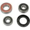 Wheel Bearing and Seal Kit