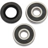 Wheel Bearing and Seal Kit