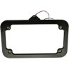Lighted License Plate Mount