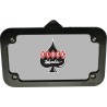 Lighted License Plate Mount