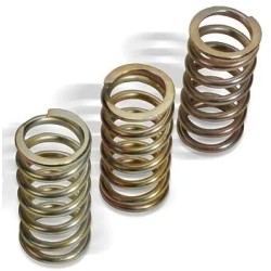 Clutch Spring Kit