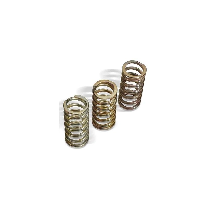 Clutch Spring Kit