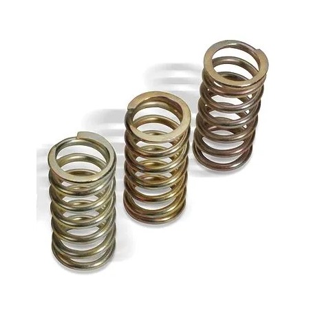 Clutch Spring Kit