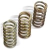 Clutch Spring Kit