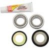 Steering Stem Bearing Kit