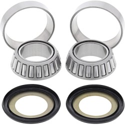 Steering Stem Bearing Kit