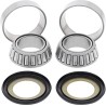 Steering Stem Bearing Kit