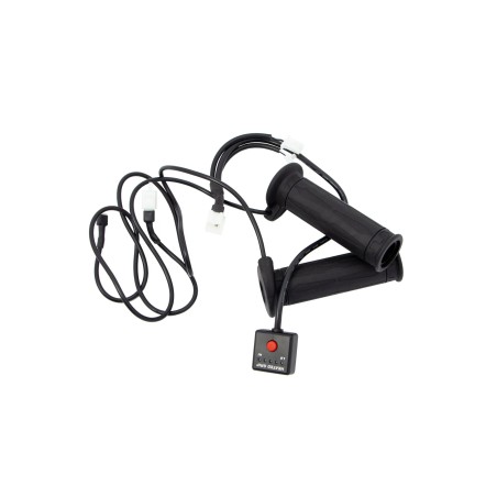 Heated Grip With Push