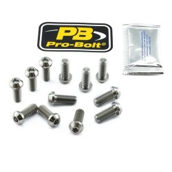 Titanium Brake Rotor Mounting Bolt Kit