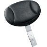 Plug-in Driver s Backrest
