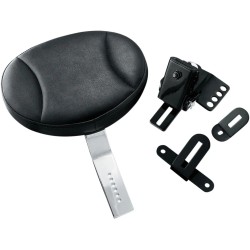 Plug-in Driver s Backrest
