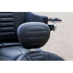 Removable Driver Backrest