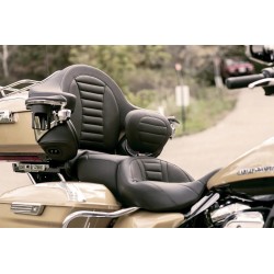 Removable Driver Backrest