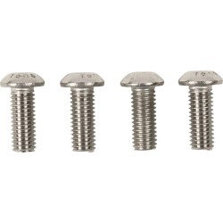 Sissy Bar Mounted Luggage Rack