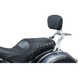 Multi-Purpose Backrest Mount