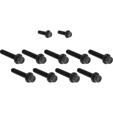 Cam Cover Point Cover Titanium 12-Point Bolt Kit