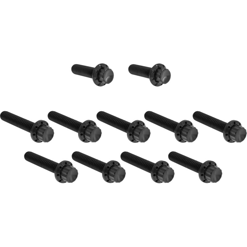Cam Cover Point Cover Titanium 12-Point Bolt Kit