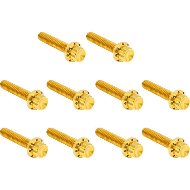 Cam Cover Point Cover Titanium 12-Point Bolt Kit