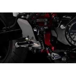 AS31 Adjustable Rearset