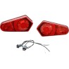 Halogen Taillights