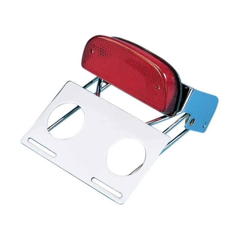 Custom Taillight and Chrome Bracket Assembly