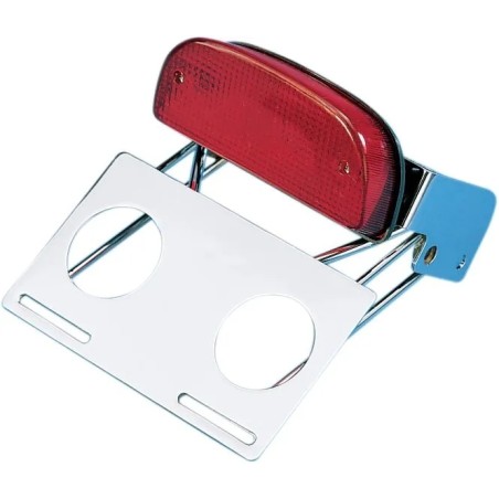 Custom Taillight and Chrome Bracket Assembly