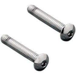 Taillight Lens Screw Kit