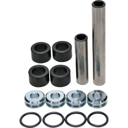 Rear Independent Suspension Linkage Rebuild Kit