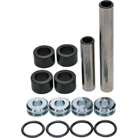Rear Independent Suspension Linkage Rebuild Kit