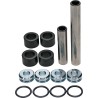 Rear Independent Suspension Linkage Rebuild Kit