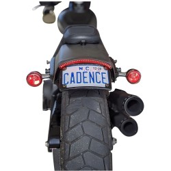 Integrated Taillight with Turn Signals