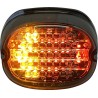 Low Profile LED Taillight with Integrated Auxiliary Turn Signals