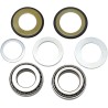 Steering Stem Tapered Roller Bearings and Seals Kit