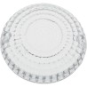 Replacement Turn Signal Lenses