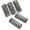 Clutch Spring Kit