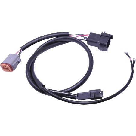 Ignition Wiring Harness