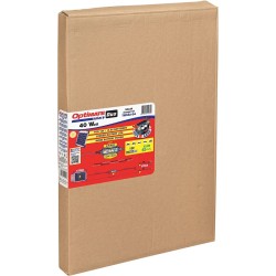 Chargeur/mainteneur solaire OptiMate™ 20 W DUO