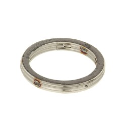 Exhaust Gasket
