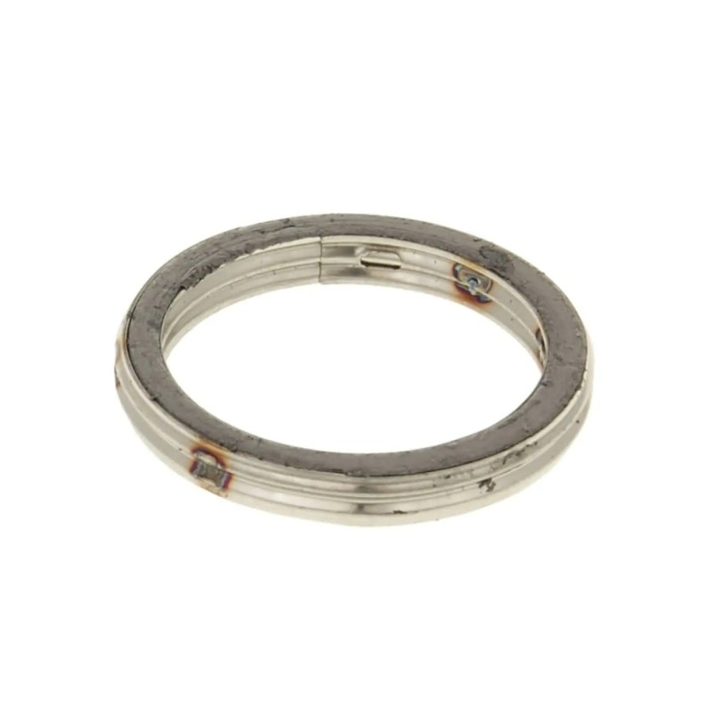 Exhaust Gasket