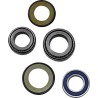 Steering Stem Tapered Roller Bearings and Seals Kit