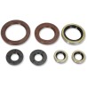 Motor Oil Seals