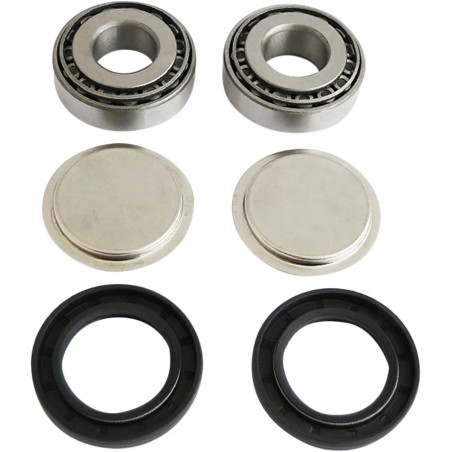 Swingarm Repair Kit