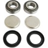 Swingarm Repair Kit