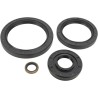 Differential Seal Kit