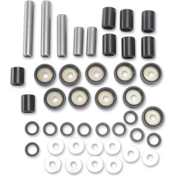 Rear Independent Suspension Linkage Rebuild Kit
