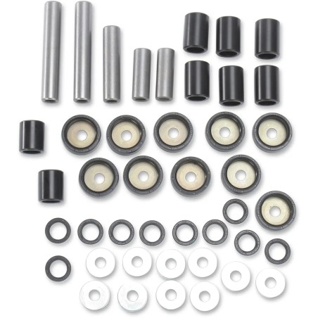 Rear Independent Suspension Linkage Rebuild Kit