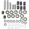 Rear Independent Suspension Linkage Rebuild Kit