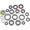 Differential Bearing Seal Kit