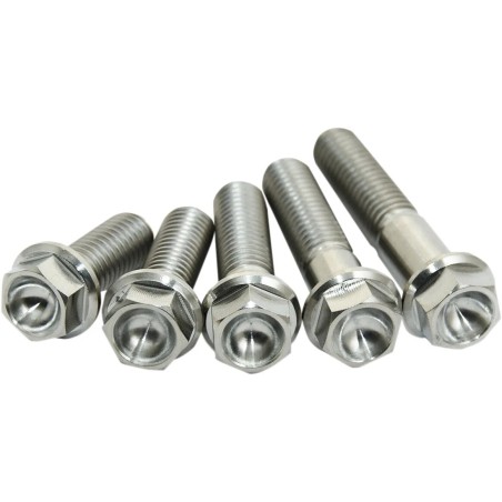 Titanium Screws