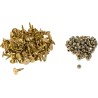 Gold Digger  Traction Master  Carbide Studs